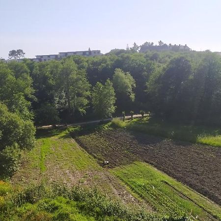 Casa Paradela Sanxenxo Villa Pontevedra Dış mekan fotoğraf